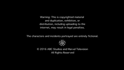 AGENTS_OF_SHIELD_-_E3X13_PARTING_SHOT_202.jpg