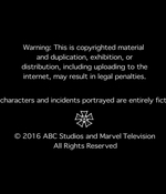 AGENTS_OF_SHIELD_-_E3X13_PARTING_SHOT_202.jpg
