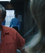 BLUE_BLOODS_-_E9X21_IDENTITY_250.jpg